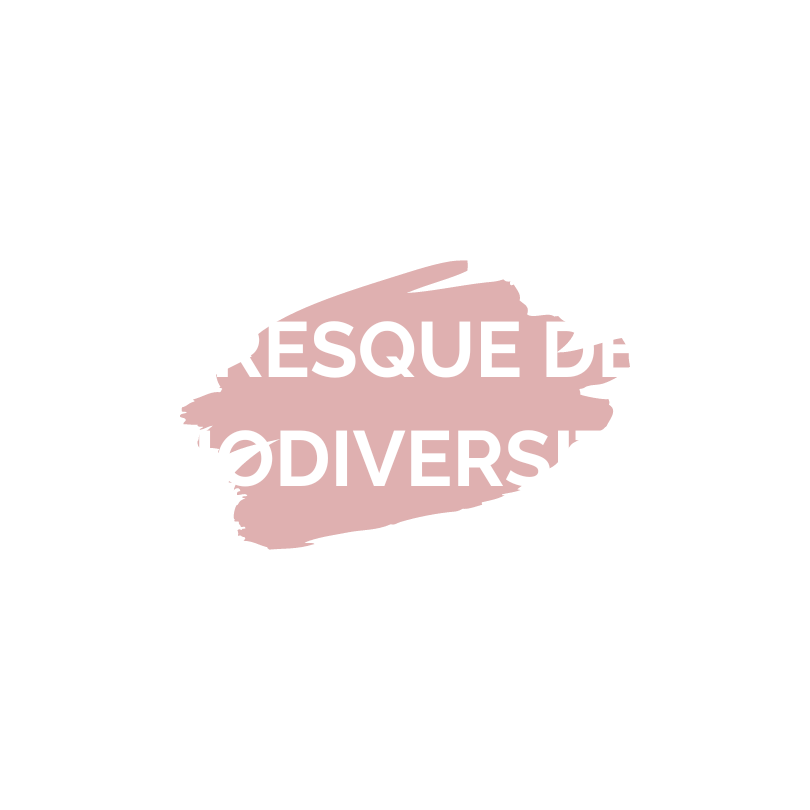 Fresque de la biodiversité Lolibri